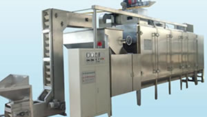 Приборы Ascon Tecnologic для обжарочных аппаратов